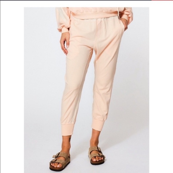 NWT Young Fabulous & Broke Jogger Sweatpants Guava  196J - Picture 13 of 13